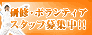研修・ボランティアスタッフ募集中!!