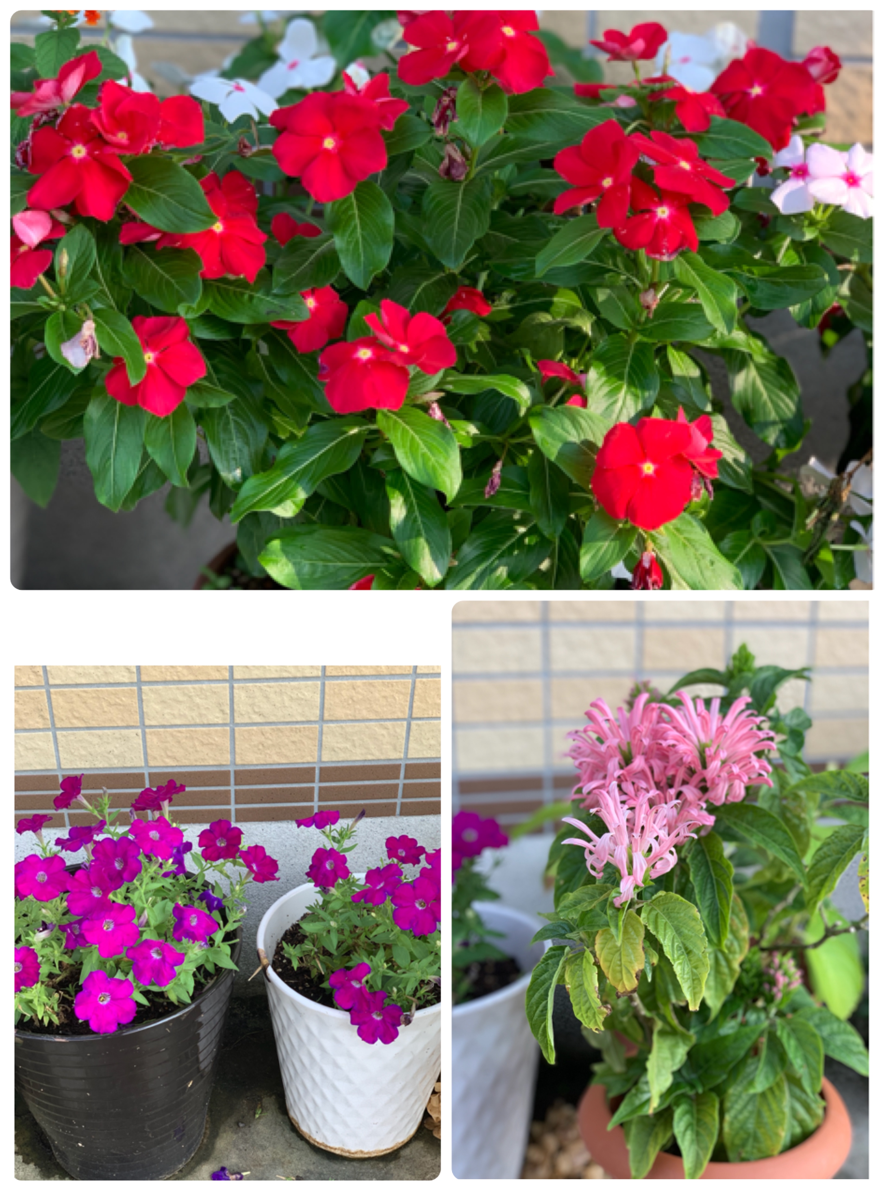 こんにちわ！雨塚らくらく苑です。