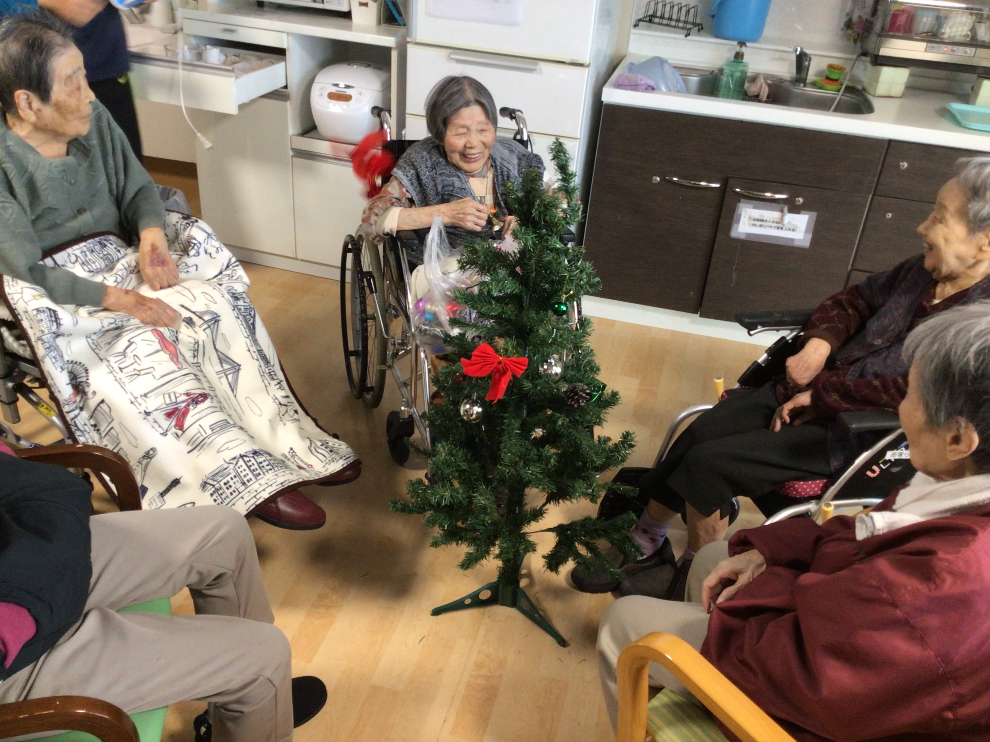 【あやめ】クリスマスが近づいてきました🎄