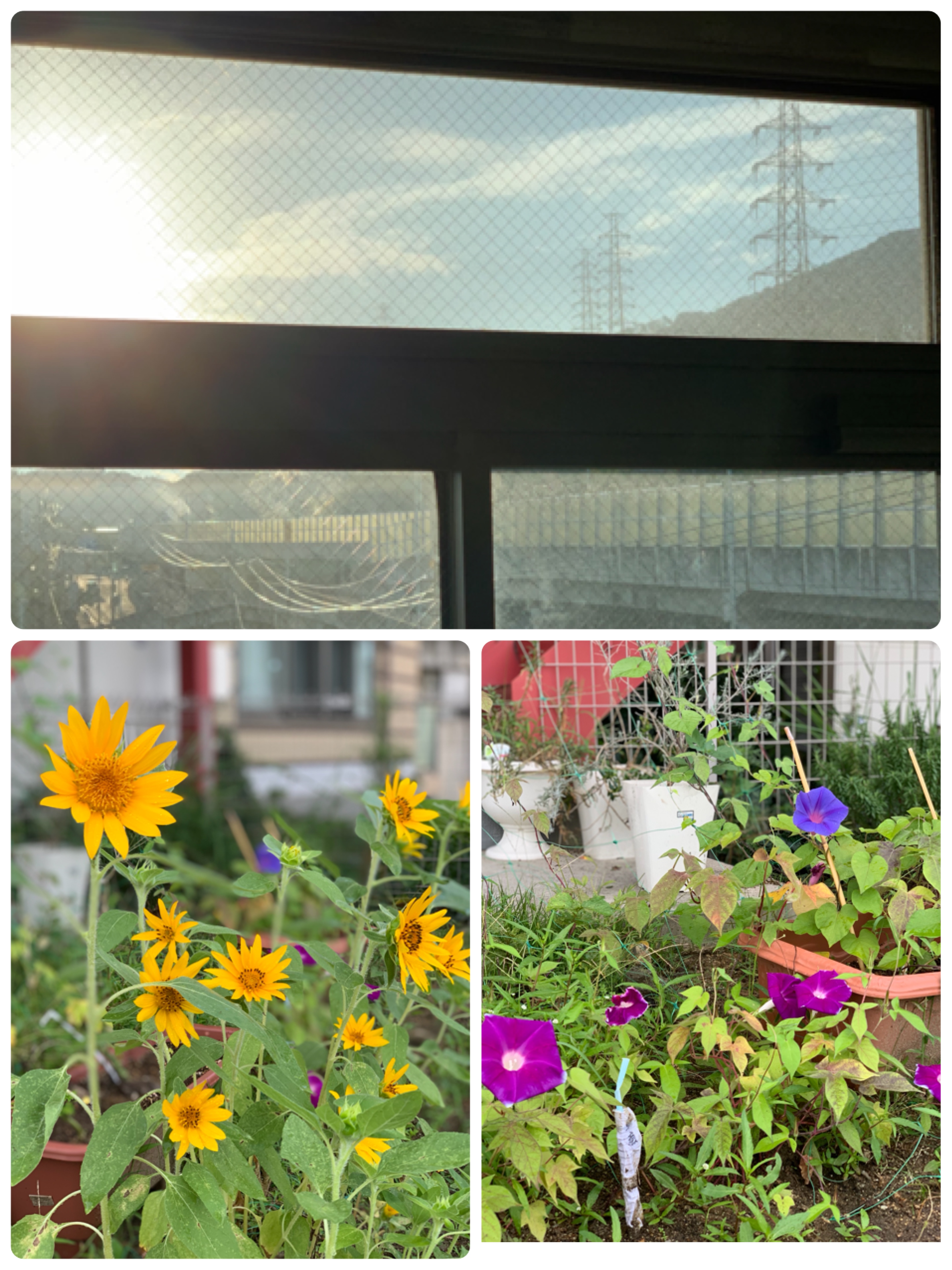 ★おはようございます★