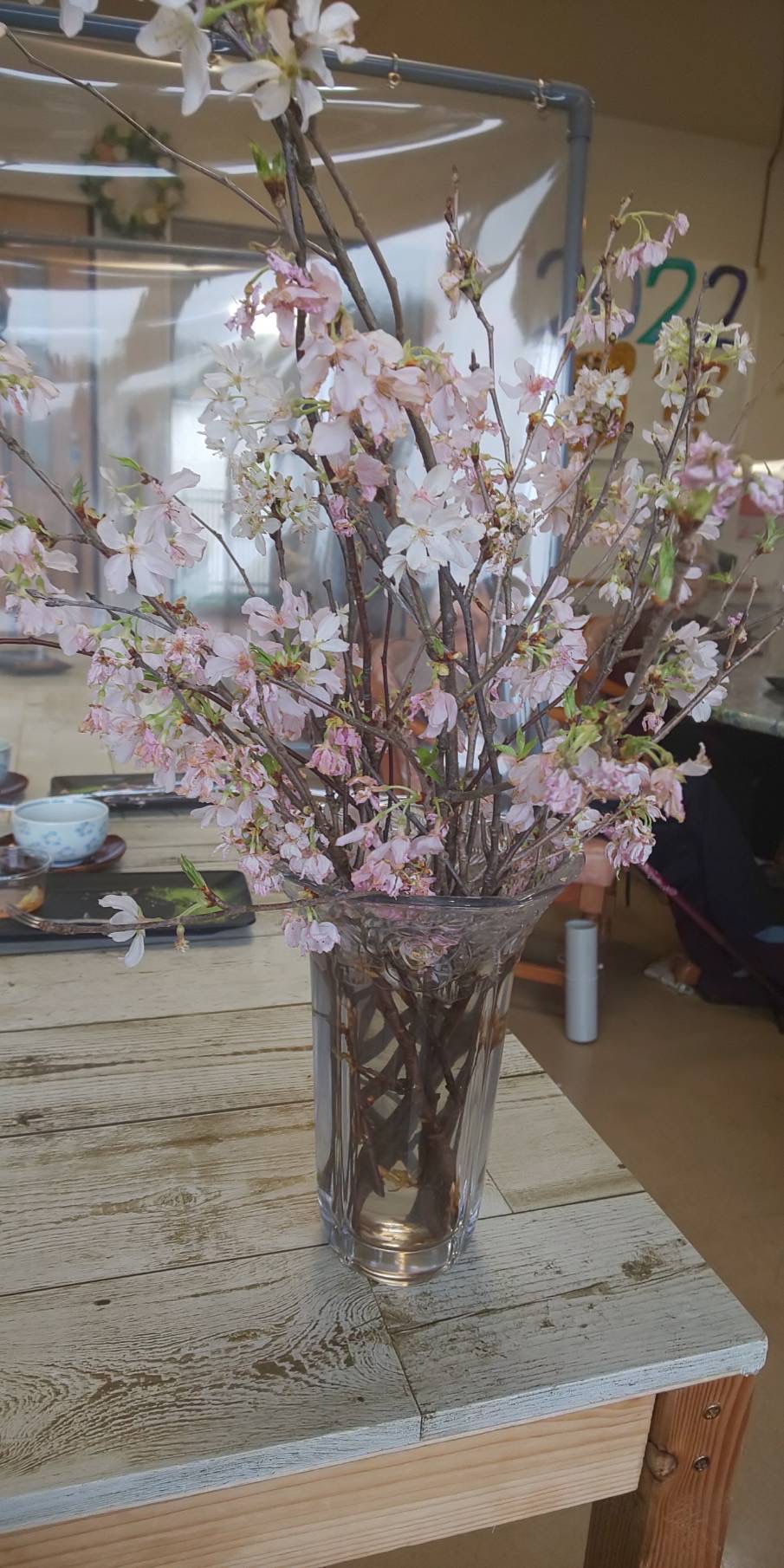 ☆３月２６日　桜茶と手作りの桜スイーツお花見気分☆