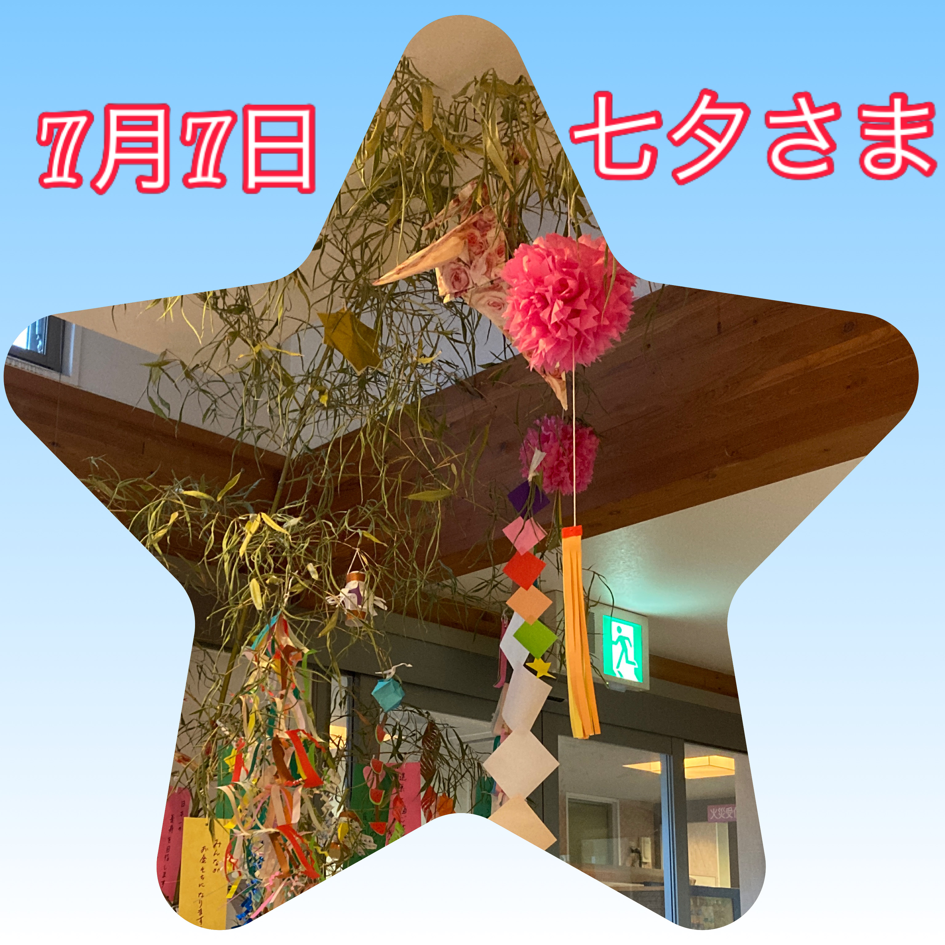 【うめ】七夕さま