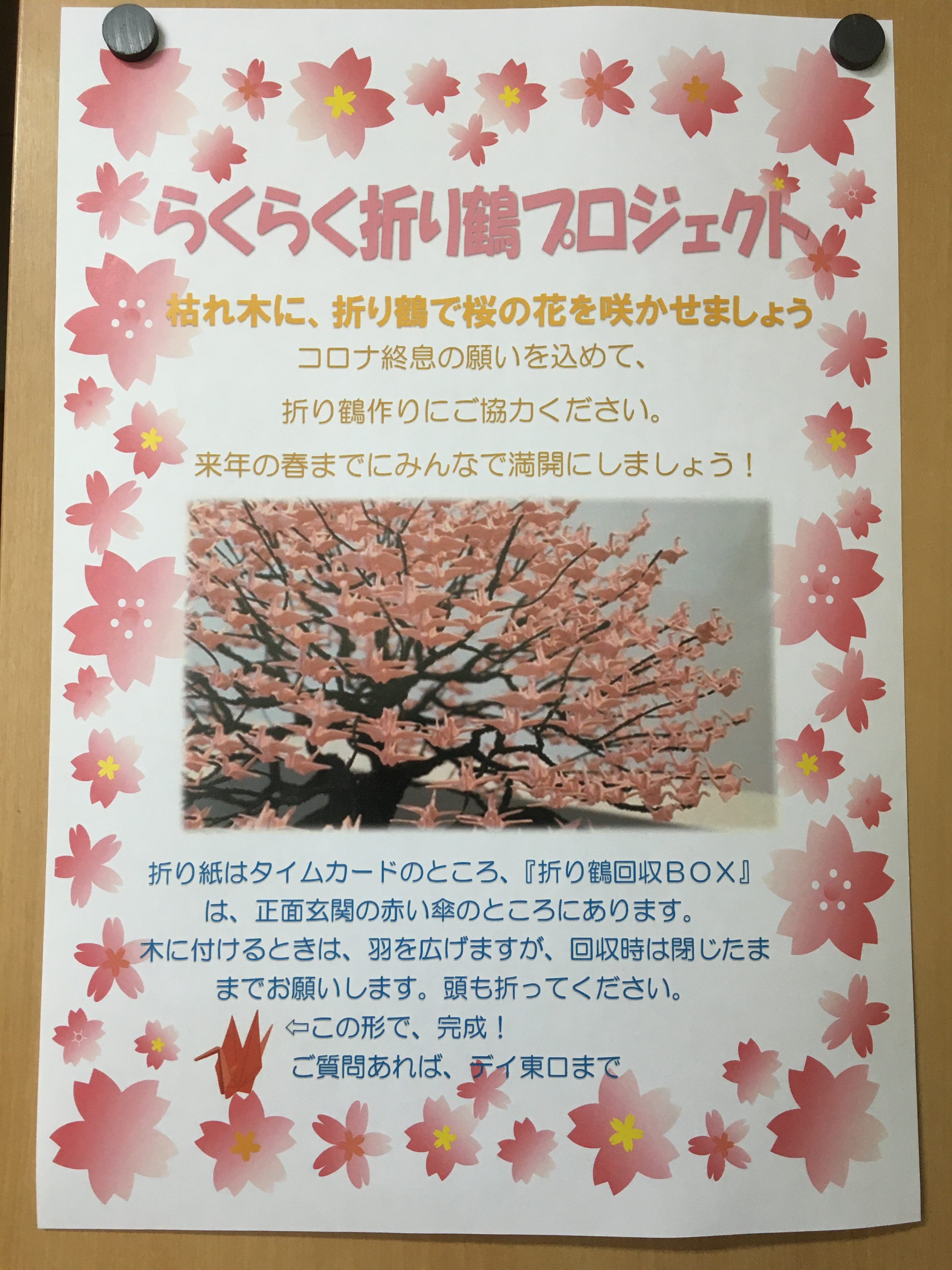 「らくらく折り鶴プロジェクト」開始！