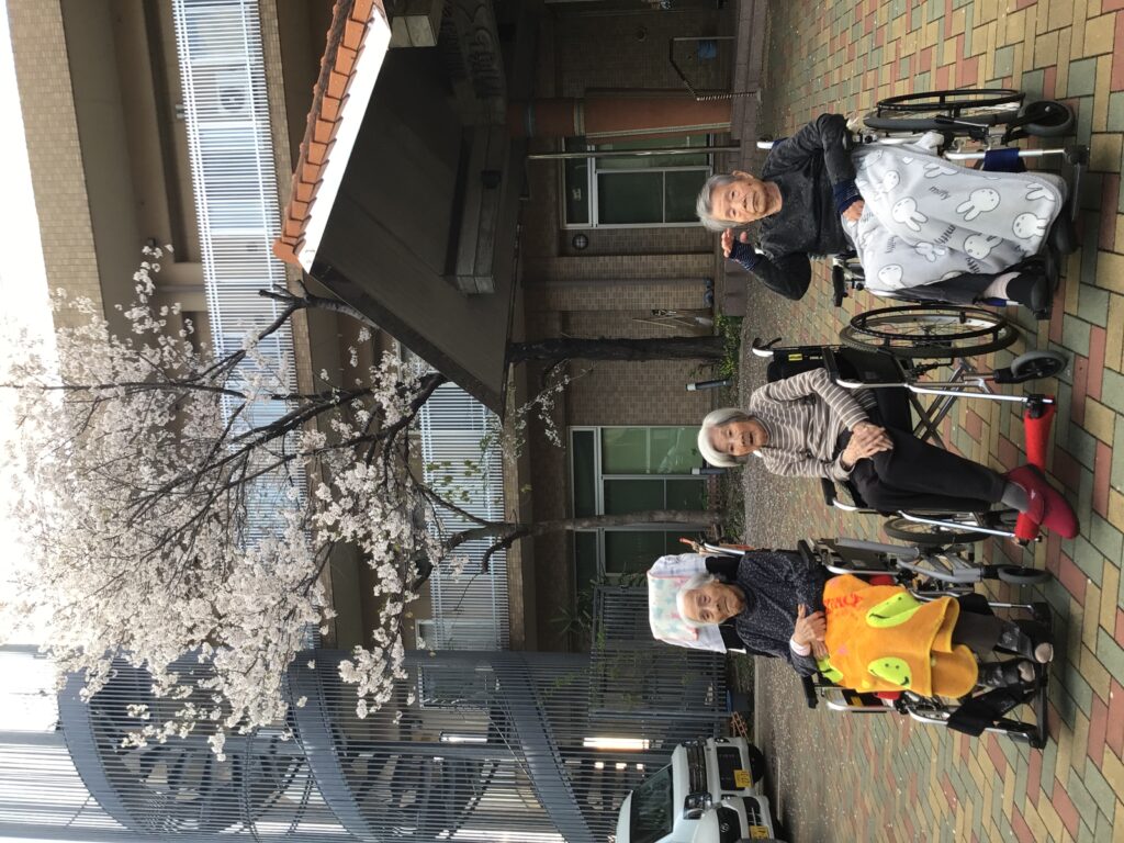 桜がー！＼(◎o◎)／！