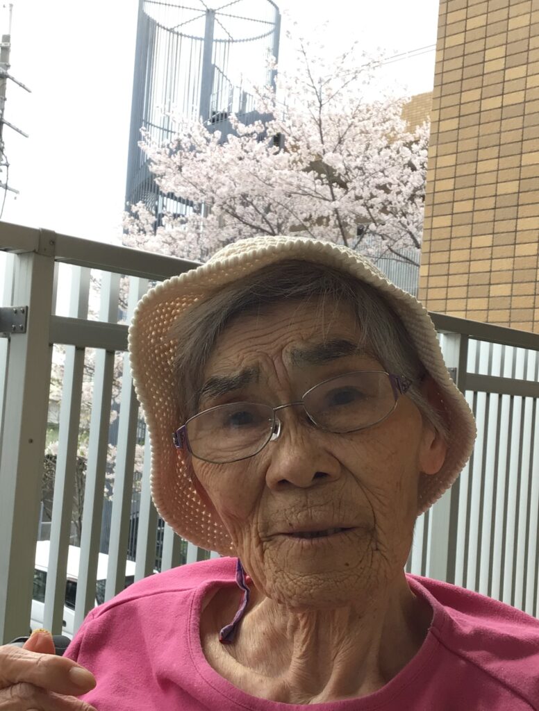 東３丁目、２０２６花見