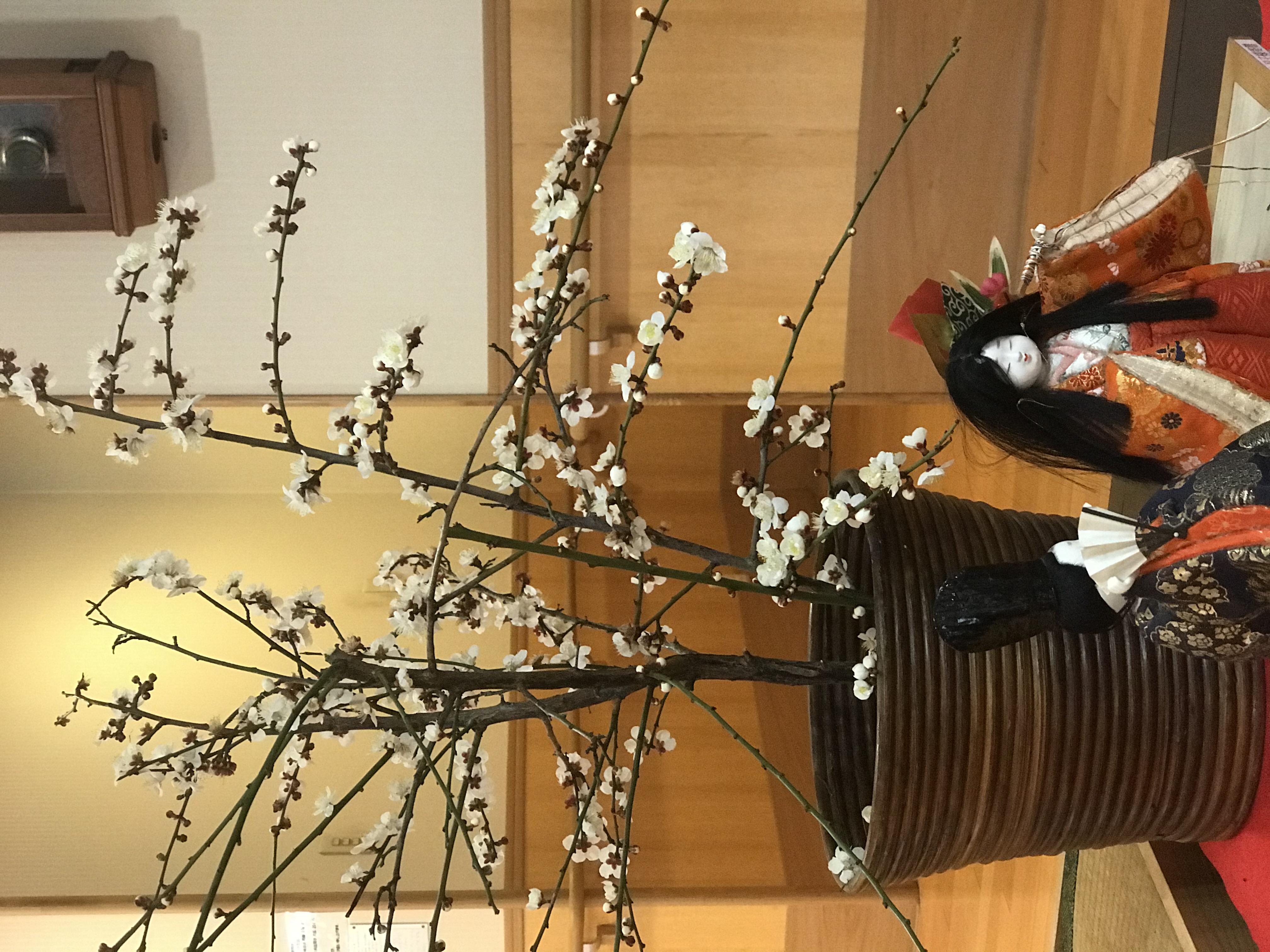 ☆らくらく苑に、春が来ました☆