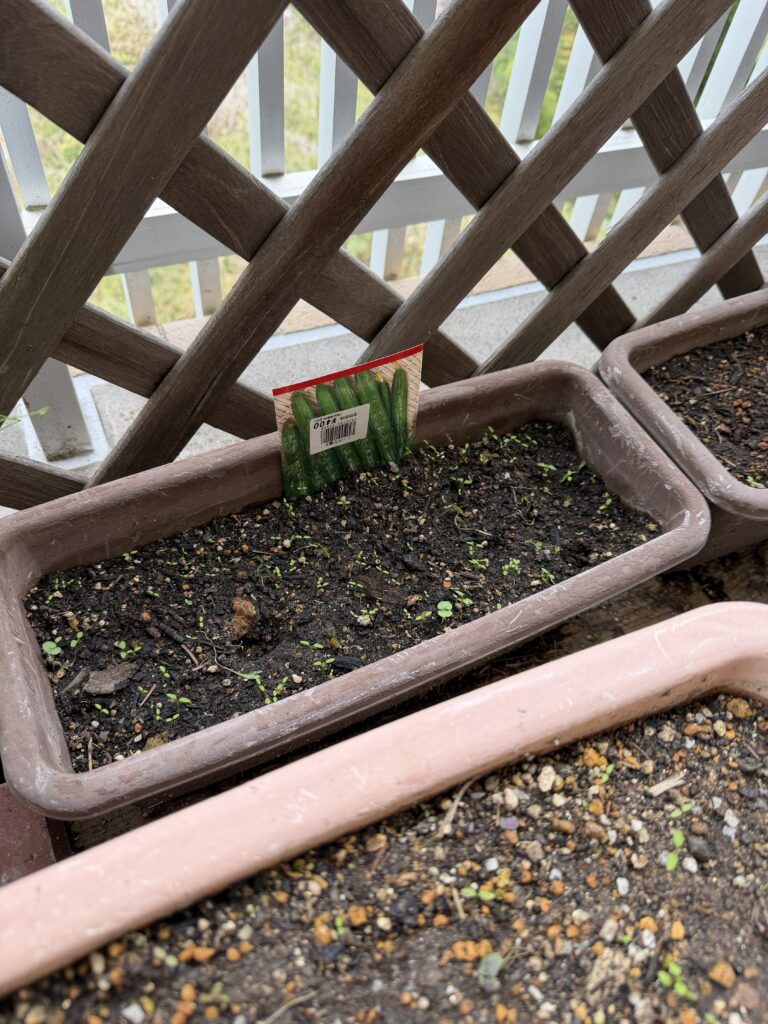 【西4丁目💫】